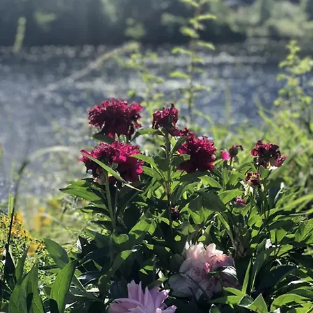 Beautiful Barn - View Porsgrunn