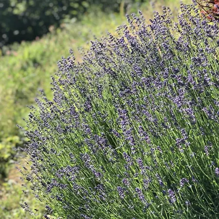 Beautiful Barn - View Porsgrunn